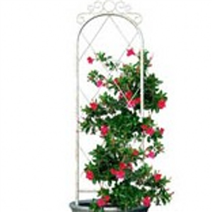 Panacea  French Country 83790  Trellis 60 in